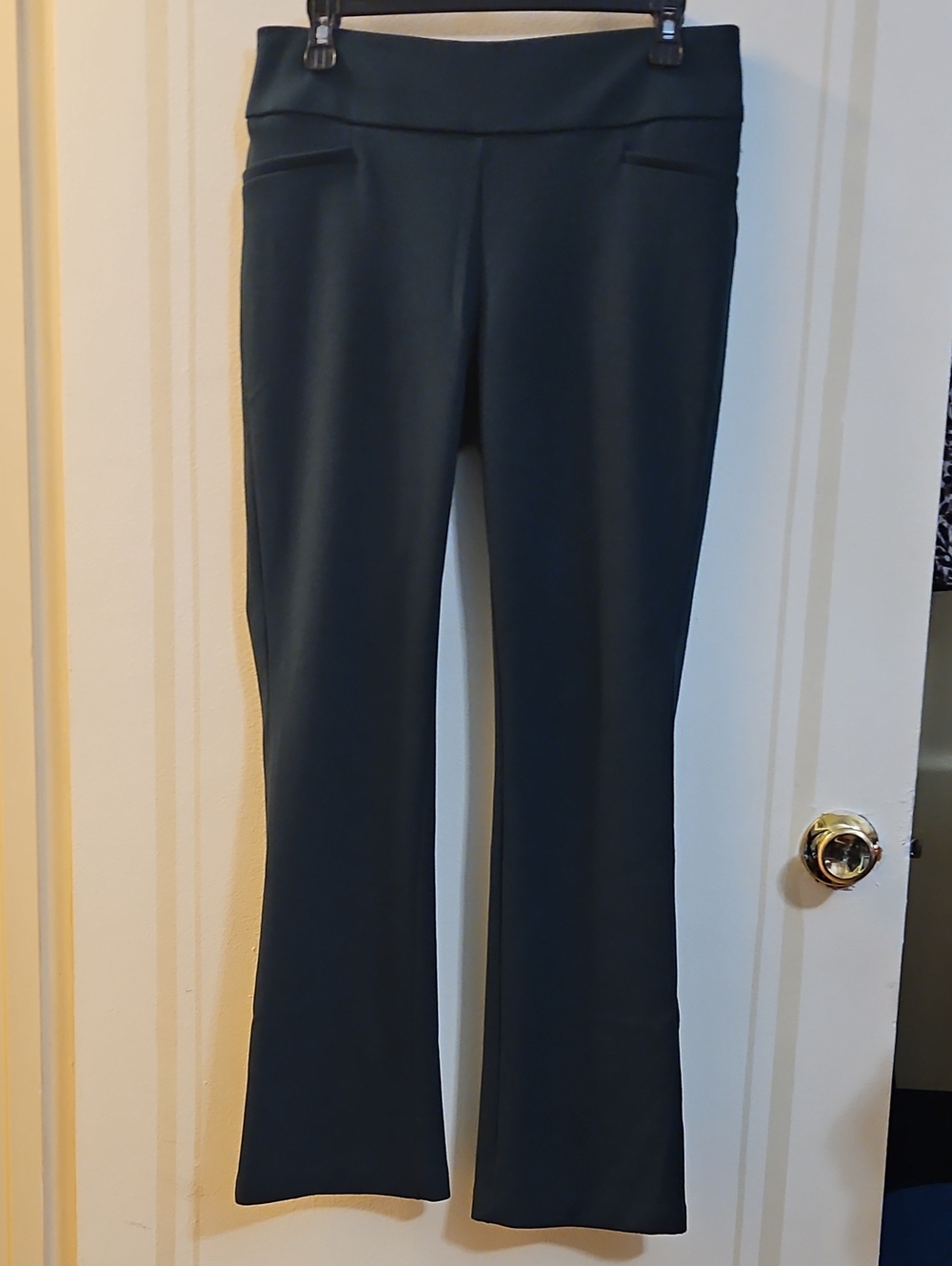 New York & Company Women's Dark Green Bootcut Ponte Pants